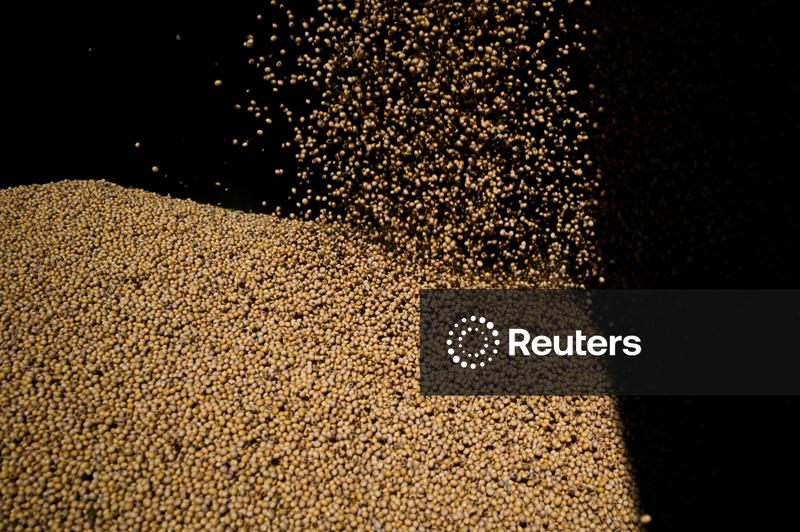 Processamento de soja nos EUA cai em novembro para 216,041 mi bushels após recorde