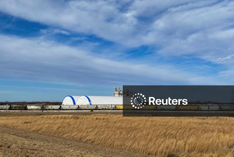 Exportações de grãos russos por via marítima têm 1ª alta na temporada 25/26