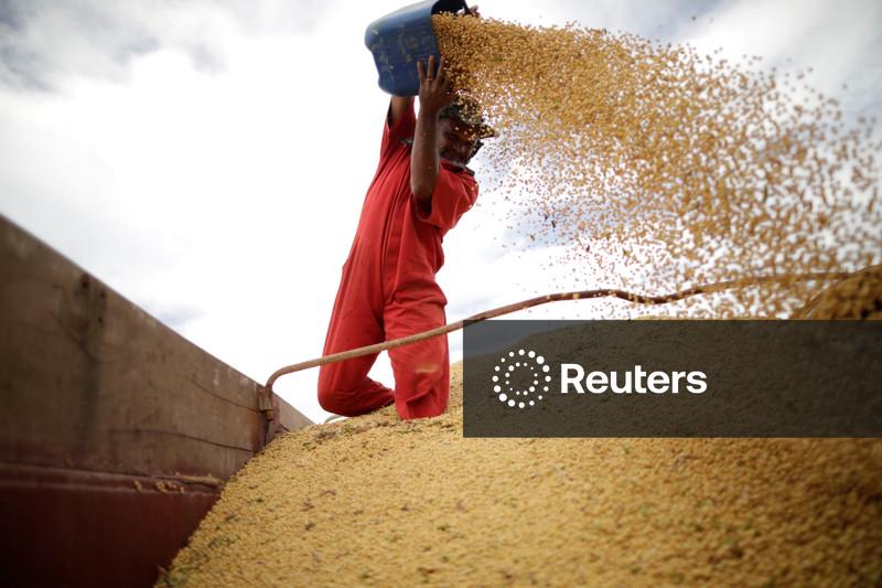 PIB do agro crescerá 1% em 2026 com maior uso de capital próprio pelo produtor, diz CNA