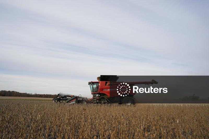 Bayer lança nova semente de soja para agricultores brasileiros