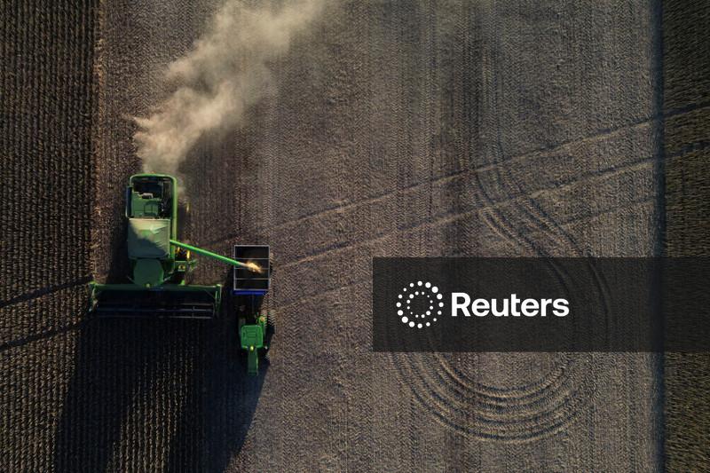 Deral mantém previsão de safra de soja do Paraná