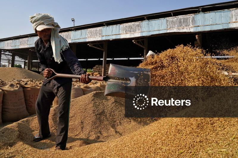 Exportações de arroz da Tailândia podem cair até 12,5% em 2026, prevê governo