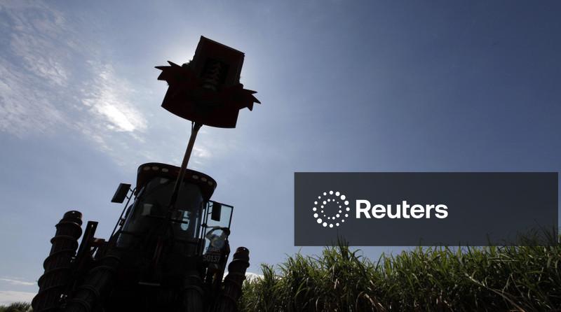 Produção de açúcar do CS recua 33% na 2ª quinzena de novembro, enquanto a de etanol cai 1,3%