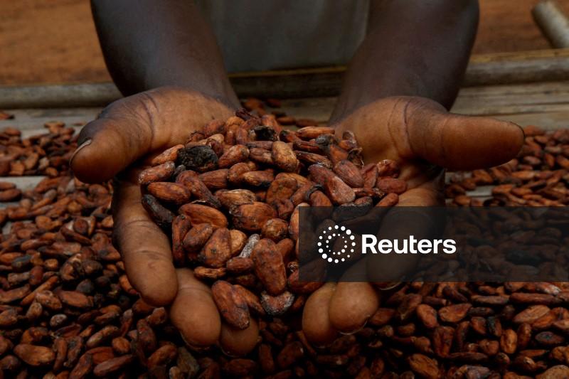 Cacau avança mais em NY, café arábica ganha 3%