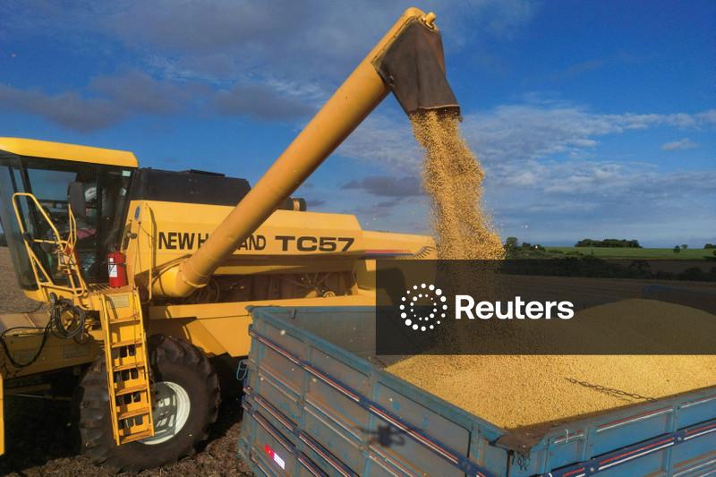 Conab eleva safra 25/26 de soja do Brasil ao revisar produtividade para recorde