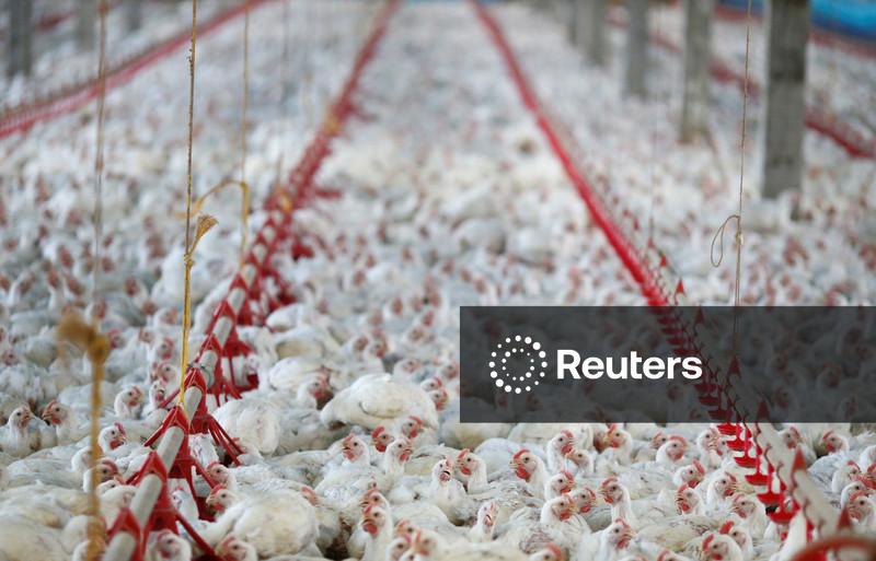 MBRF eleva em 8% produção de kits natalinos em 2025