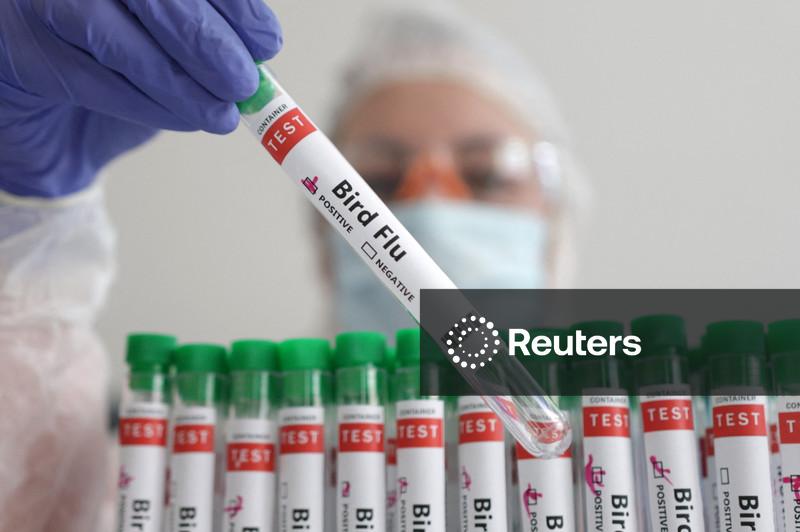 Uma pessoa segura um tubo de ensaio rotulado como "Gripe Aviária", nesta ilustração fotográfica