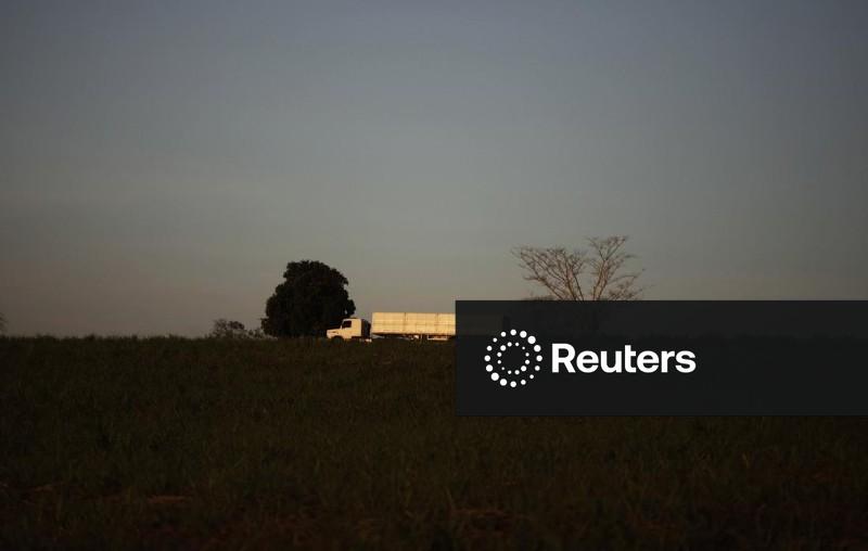 Setor de serviços do Brasil cresce 0,3% em outubro