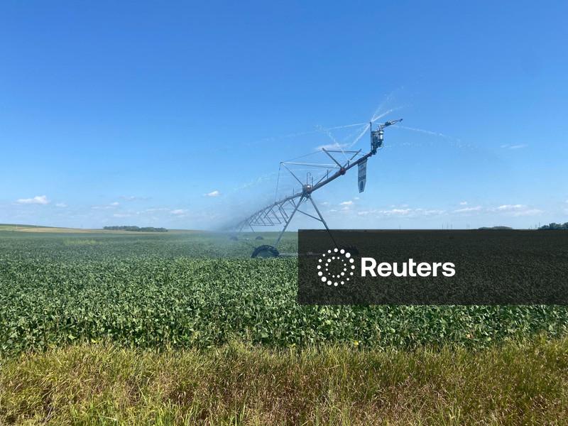 ANÁLISE-Maior compra de soja dos EUA pela China em 2 anos impulsiona preços e deslancha vendas