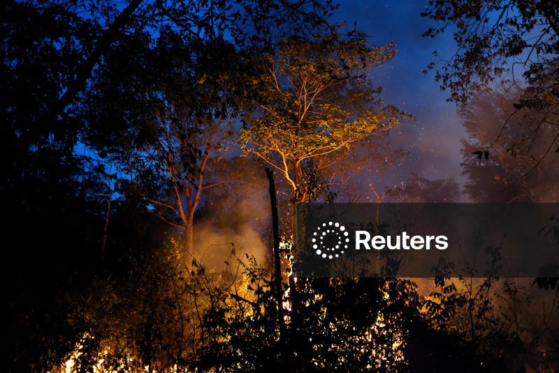 Tradings de soja vão abandonar pacto de proteção da Amazônia no Brasil