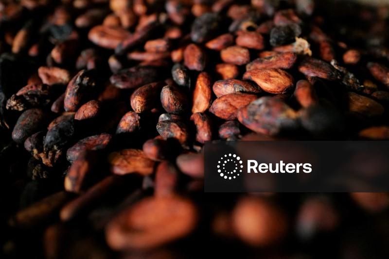 Preços do cacau caem, enquanto café robusta amplia declínio