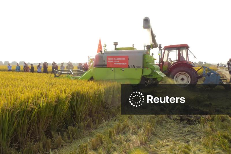 "Documento nº 1" da China promove segurança alimentar e inovação em tecnologia agrícola