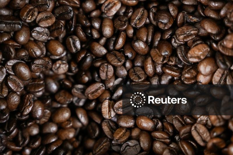 StoneX estima aumento de 13,5% na safra de café do Brasil em 2026