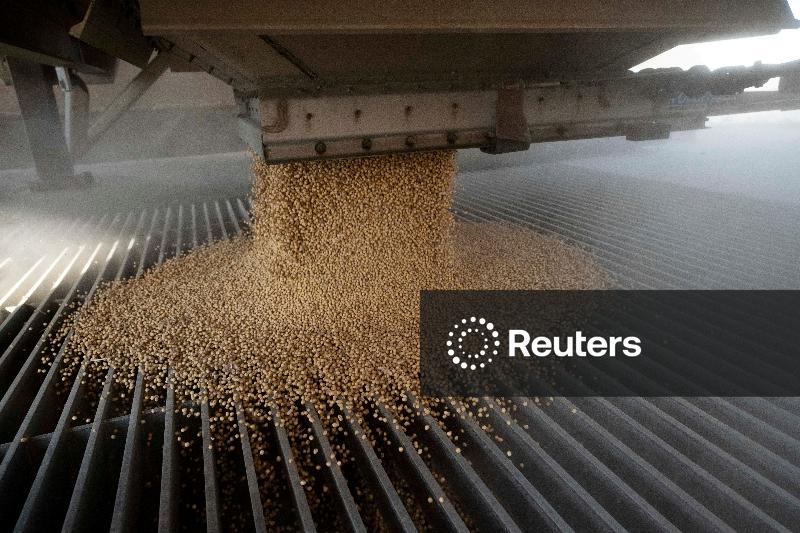 Anec reduz em 1 mi t previsão de exportação de milho do Brasil em 2025