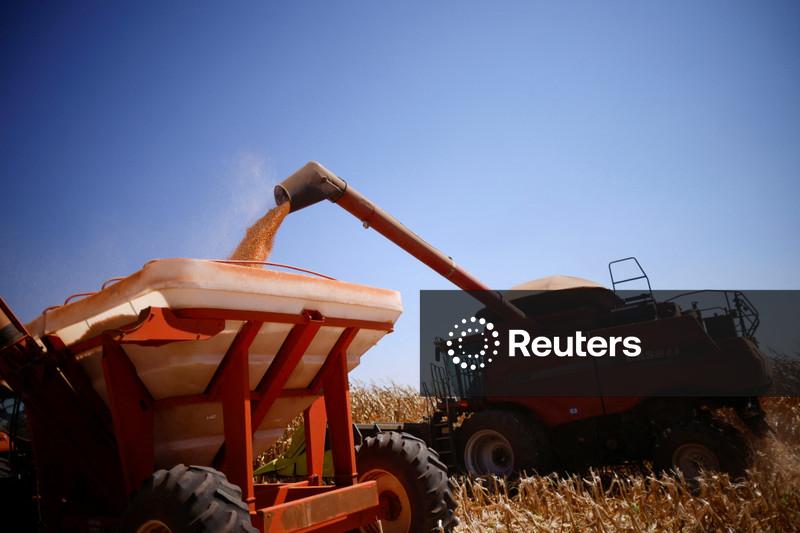 IGP-10 sobe 0,04% em dezembro e termina ano com deflação acumulada, diz FGV