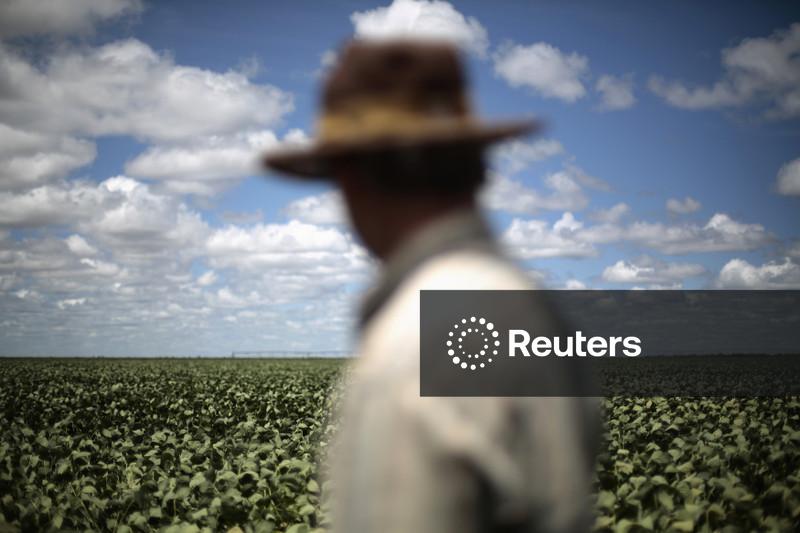 Inadimplência do produtor rural no Brasil sobe para 8,1% no 2º tri, aponta Serasa