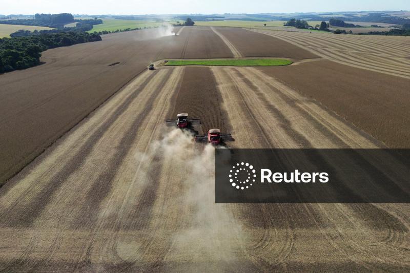 Emater reduz em 7,6% projeção de safra de trigo do RS