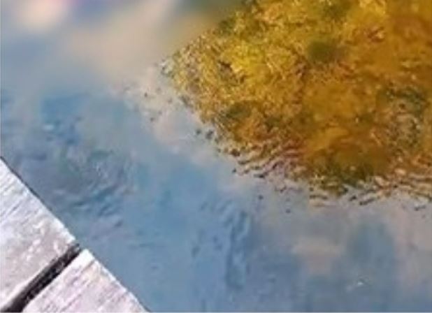 Homem achado morto em igarapé no Ramal do Pau Rosa foi executado a tiros