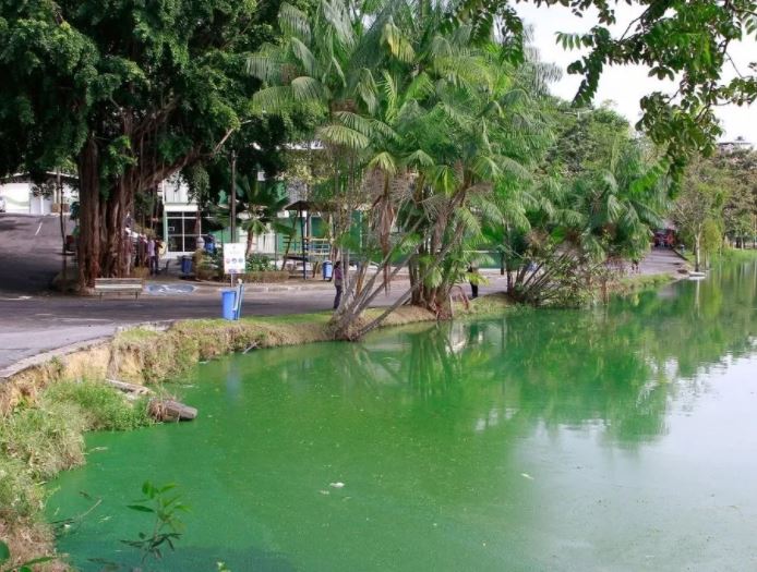 Após 5 anos, Parque Lagoa do Japiim vai passar por reforma em Manaus