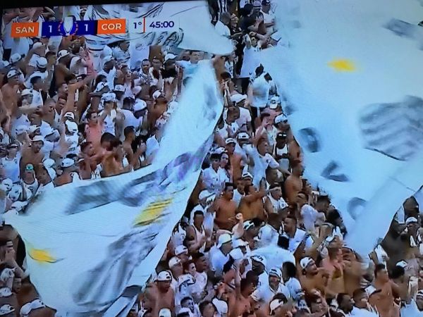 Silêncio, 12 em campo, vazio e indiferença: a noite que resumiu o ano do Santos