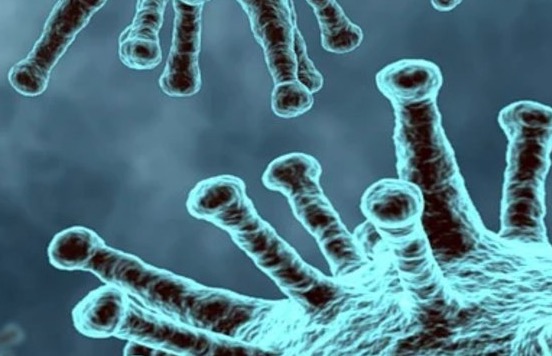 Sobe para 247 os casos suspeitos de reinfecções por coronavírus no Brasil