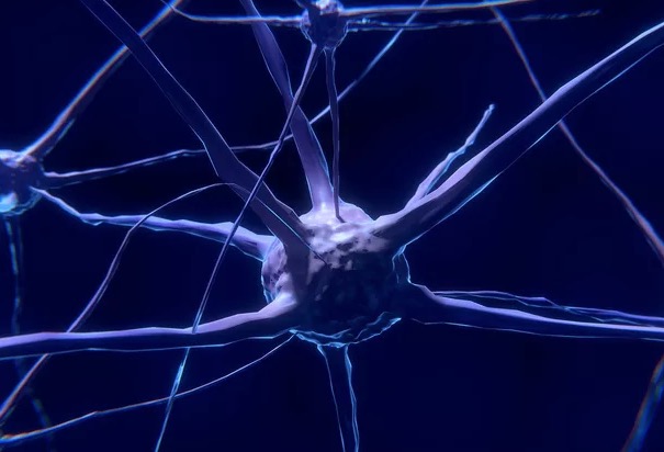 Pesquisa brasileira aponta que coronavírus pode causar danos cerebrais