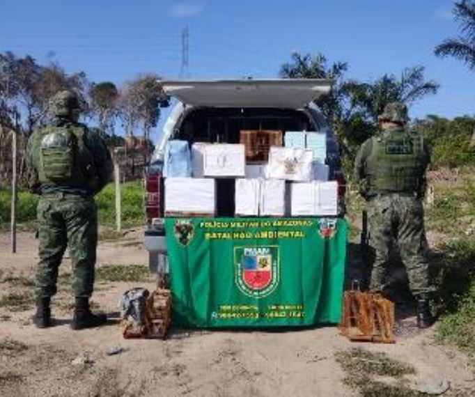 Grupo é preso por usar pássaros para capturar animais em Manaus