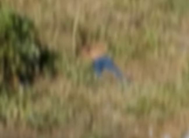 Homem agoniza até morrer após ser baleado por dupla em rua de Manaus