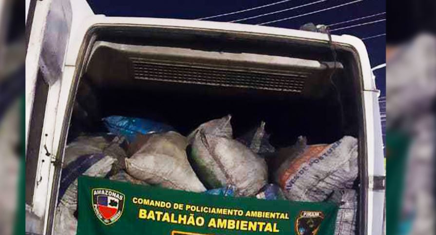 Carga ilegal de carvão avaliada em R$ 53 mil é apreendida em Manaus