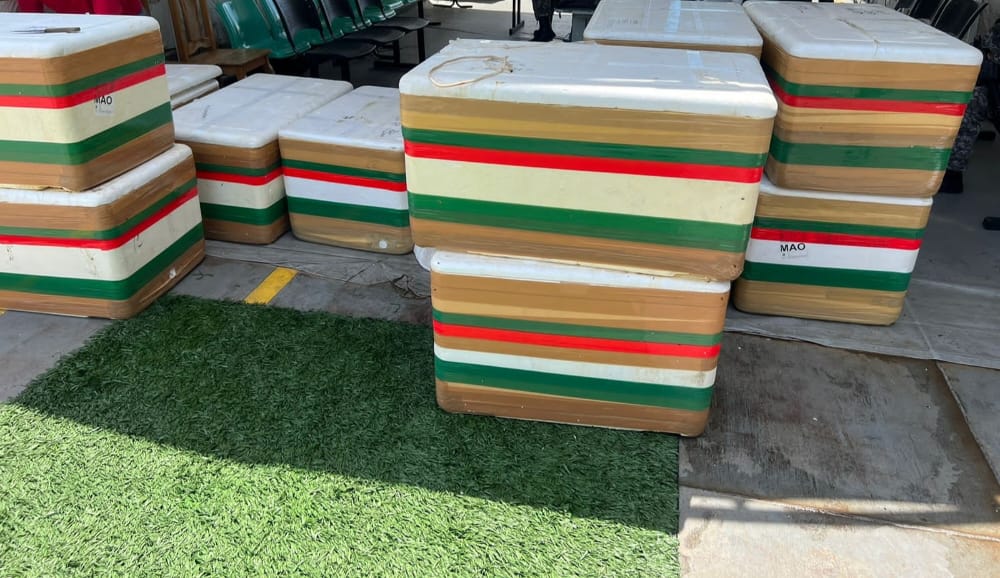 Polícia apreende 800 quilos de pescado ilegal no Amazonas