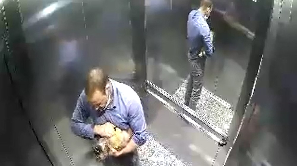 Médico agride e mata cachorro de 6 meses após animal fazer xixi no 'lugar errado'