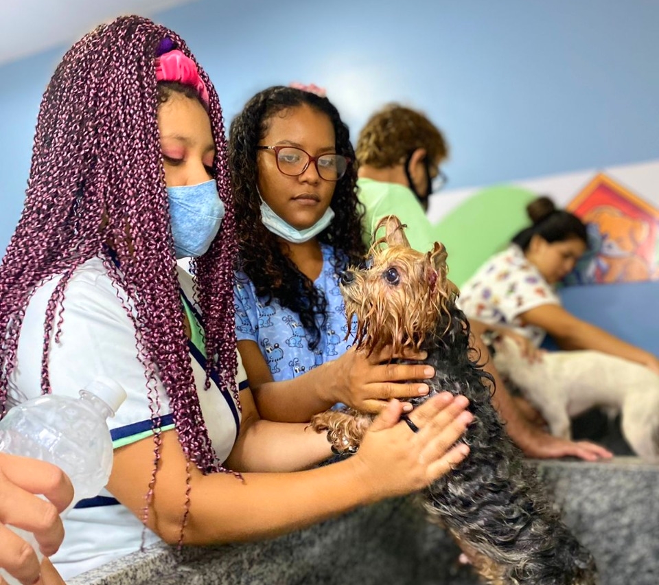 Divulgada lista de selecionados em curso de ‘Banho e Tosa para Pets’