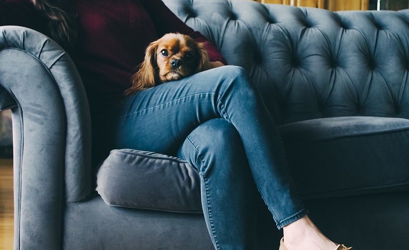 Mulher ganha direito a visitação fixa à cachorra que ficou com ex