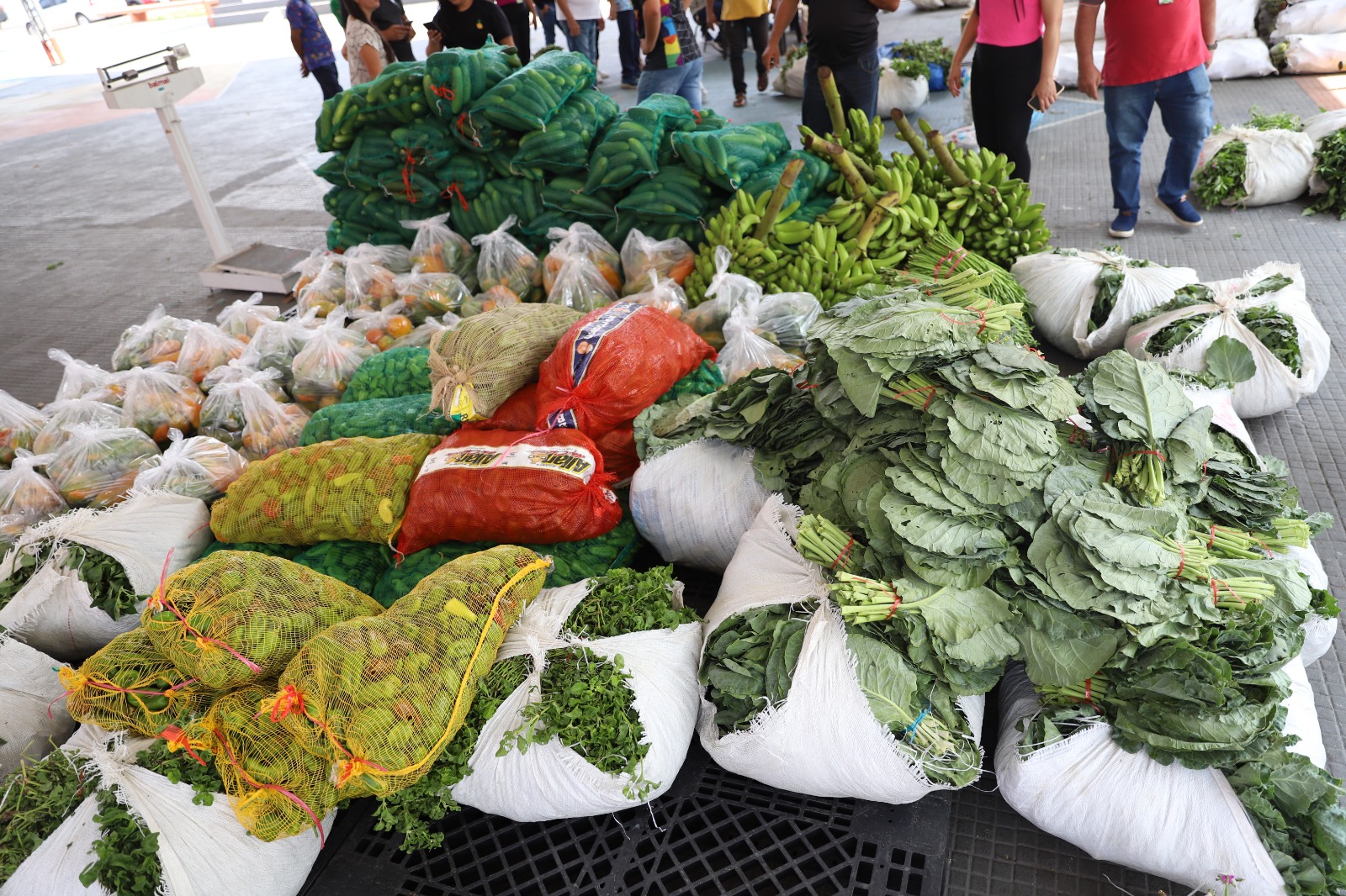 Sepror prorroga inscrições para o PAA indígena no Amazonas