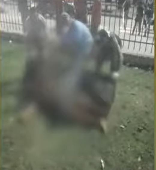 Homem é perseguido e assassinado a facadas na Praça da Matriz em Manaus