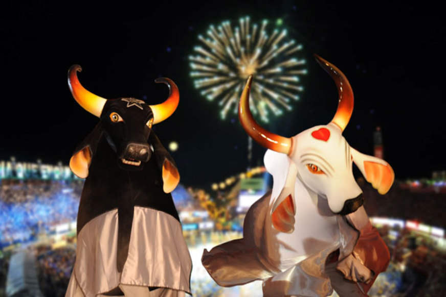 Festival dos bois de Parintins 2022 é confirmado no Amazonas