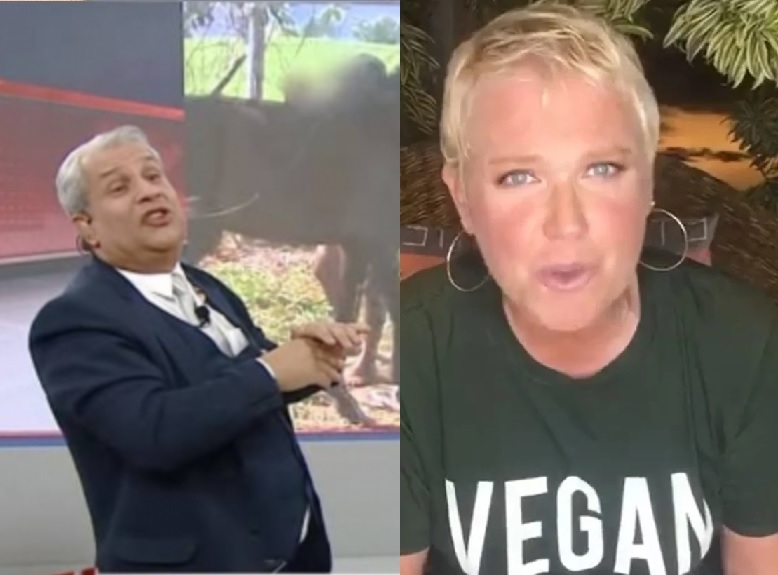 Sikêra Jr. é condenado a pagar R$ 300 mil de indenização a Xuxa