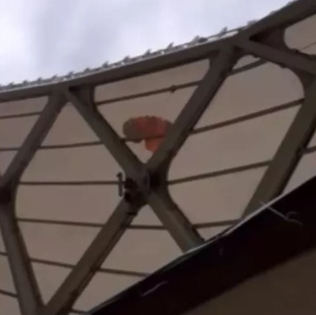 Aluna de paraquedismo faz pouso de emergência no teto da Arena da Amazônia