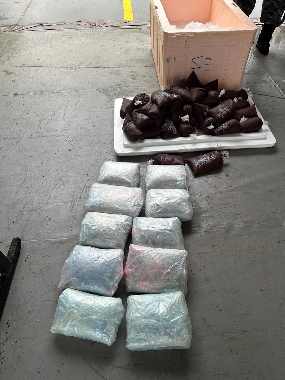 Operação apreende 10 quilos de drogas em caixas com açaí no Amazonas