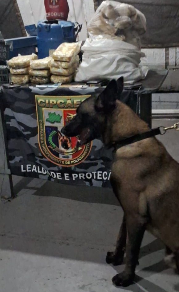 Mais de 40kg de pasta-base de cocaína são apreendidos em barco em Coari