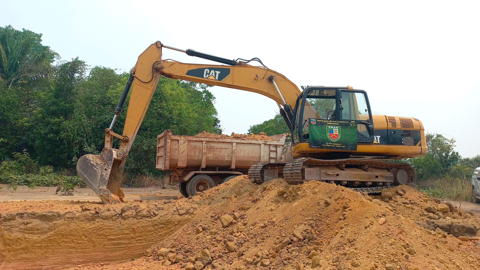 Cinco pessoas são presas por crimes ambientais em Manaus e Manacapuru 