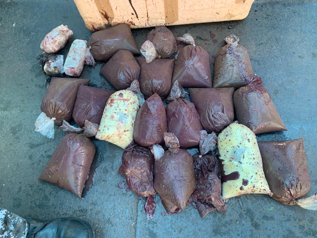 Polícia apreende maconha escondida em sacos com açaí e cupuaçu no Amazonas 