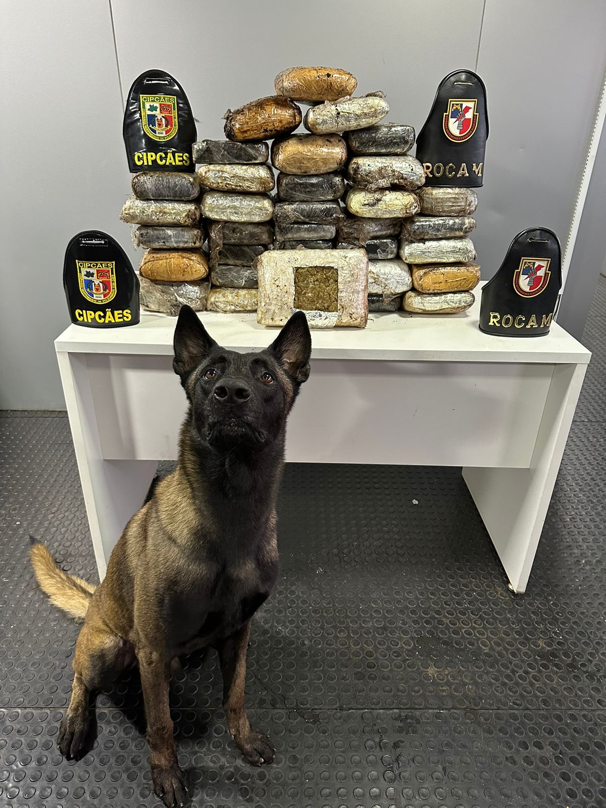 Drogas avaliadas em R$ 1,7 milhão são apreendidas em embarcação em Barcelos