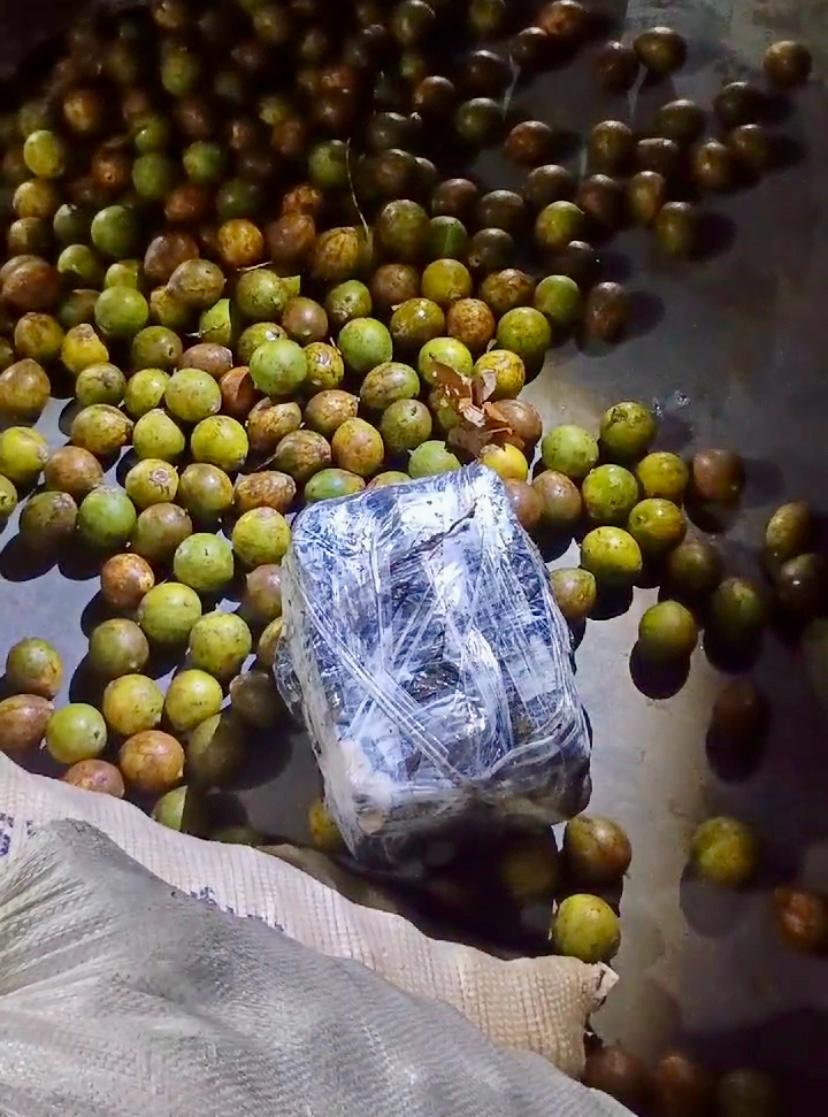 Polícia apreende maconha escondida em sacas de tucumã no Amazonas