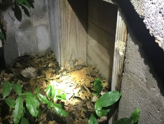 Homem revela o que era a 'caixa do demônio' dentro de sua casa