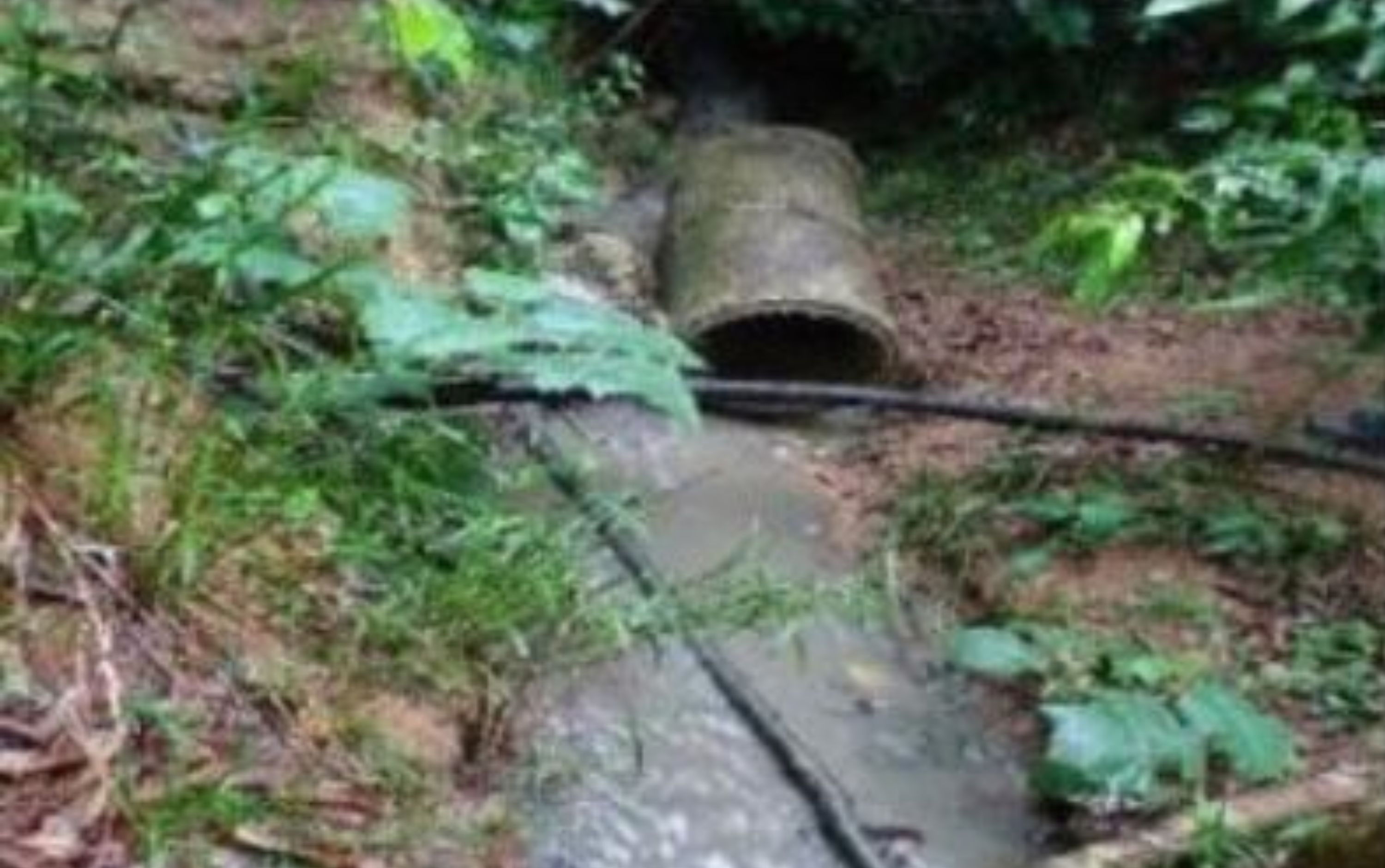 Prefeitura de Novo Airão tem prazo para interromper despejo de esgoto no Rio Negro