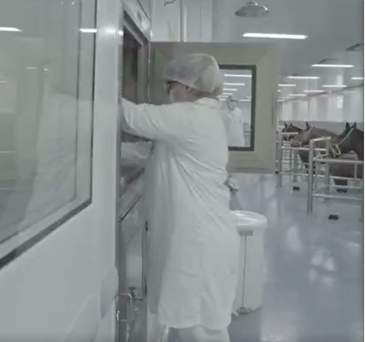 Anvisa autoriza testes de soro anti-covid feito de plasma de cavalos