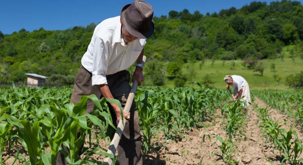 Viúva ganha pensão após provar que marido falecido era trabalhador rural