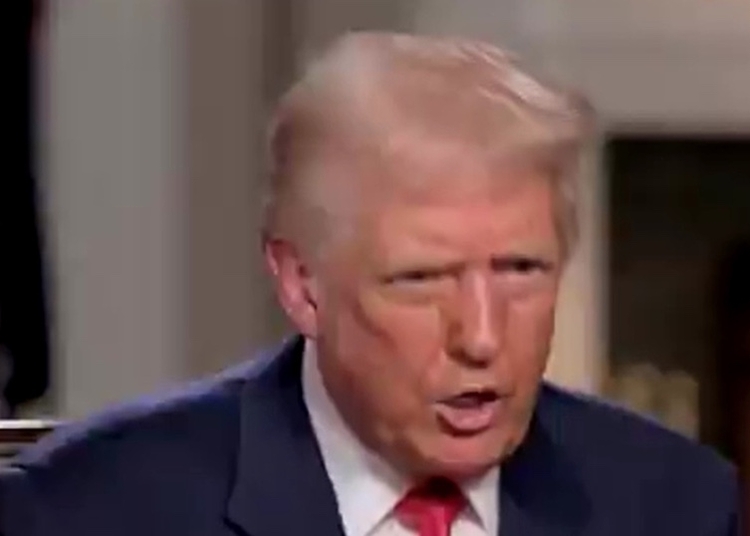 Cortes do governo Trump na ciência atingem pesquisadores brasileiros