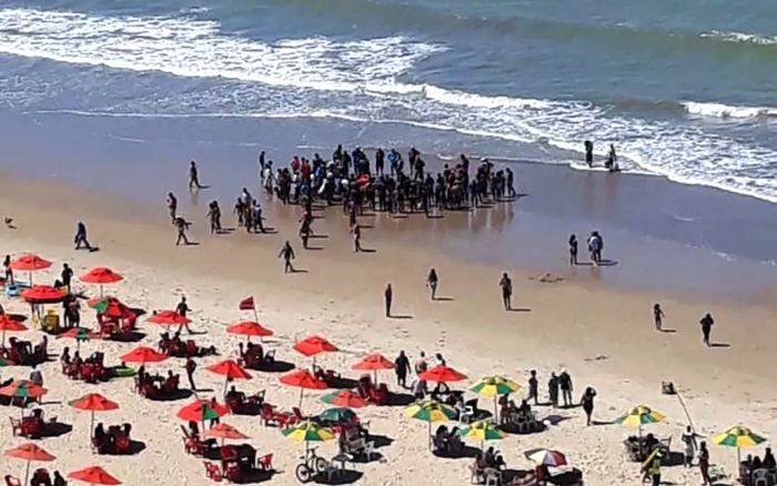 Surfistas relatam 'clima de terror' por novos ataques de tubarões em Recife